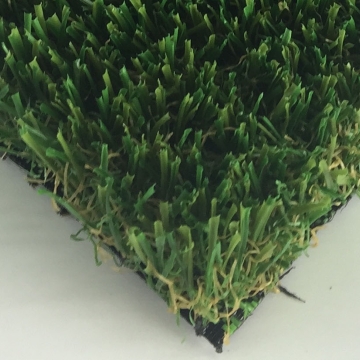 Pet Grass