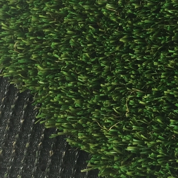 Pet Grass