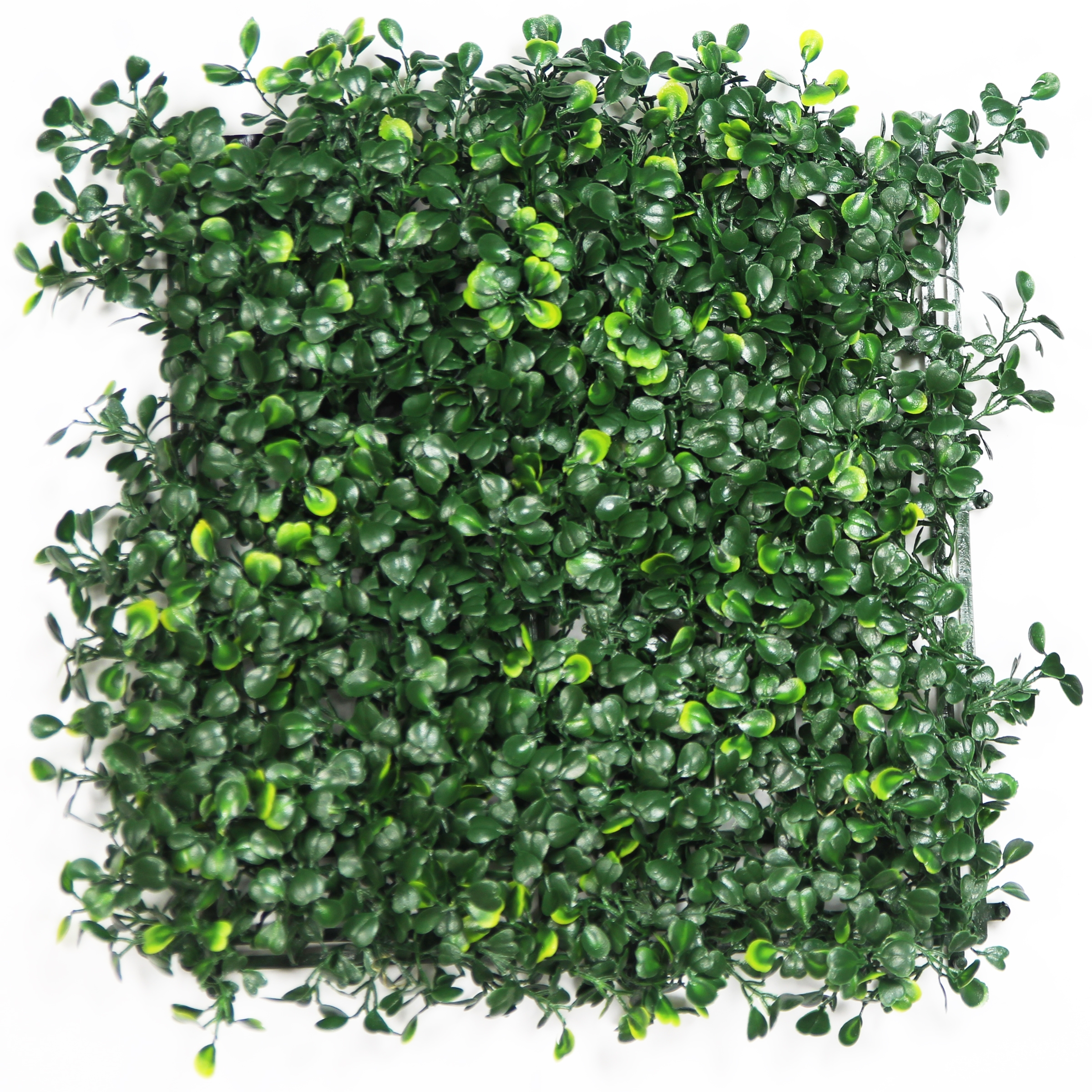 Artificial Grass Hawthorn Dark Hedge Best Artificial Grass