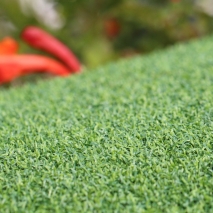 putting-greens-60-bicolor.jpg Artificial Grass