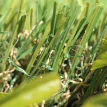sblade66.jpg Artificial Grass